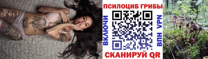 darknet клад  Воткинск  Псилоцибиновые грибы ЛСД 